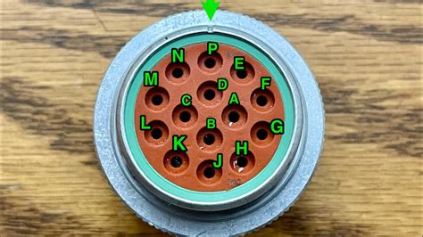 14 pin connector for skid steer wiring diagram|14 pin female deutsch connector.